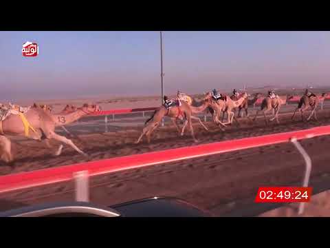  ش 7 (نيران) لـ حمد سالم بن ثعلوب الدرعي 4:48:56 ، مهرجان العين 2026/07/07 لقايا الوقن