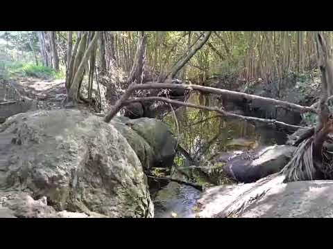 Campo en venta de 17 hectáreas  Joaquín Suarez Canelones