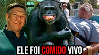 THE BRUTAL CASE OF CHINPANZÉ MOE (ESCAPOU DA JAULA)