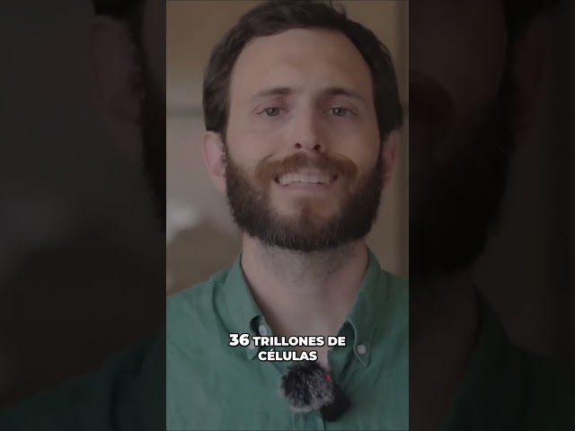 Vídeo relacionado con Desinflámate (Campaña edición limitada): Todo lo que debes saber para tener una salud óptima y ralentizar el envejecimiento