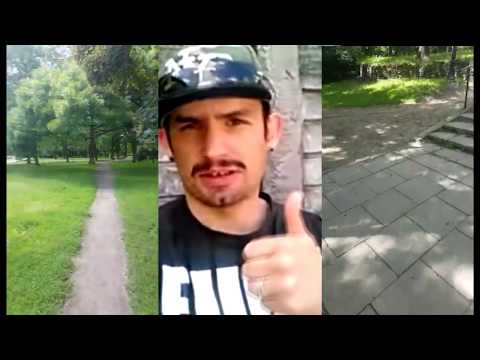 wspomnienia aft 2016 - poszukiwanie tigera