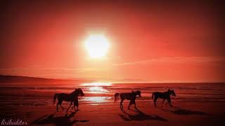 Download lagu PARAI MARAPU# Lagu Parai Marapu Lirik# mp3 Download lagu PARAI MARAPU# Lagu Parai Marapu Lirik# mp3