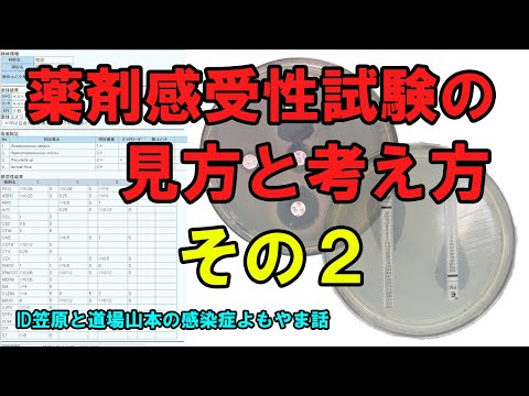 看護学科 薬剤感受性検査の見方と考え方 その２