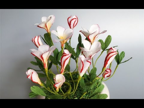 ABC TV | How To Make Oxalis Versicolor Paper Flower From Crepe Paper - Craft Tutorial