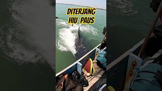 Download lagu Hampir CELAKA ....⁉️‼️ Hiu Paus Menerjang Perahu Yang Sedang Memancing mp3 Download lagu Hampir CELAKA ....⁉️‼️ Hiu Paus Menerjang Perahu Yang Sedang Memancing mp3