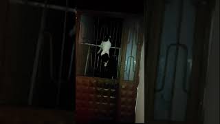 Demir Kapıya Sıkışan Kediyi İtfaiye Kurtardı