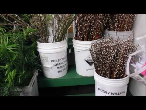 What's In The Cooler 1-30-17