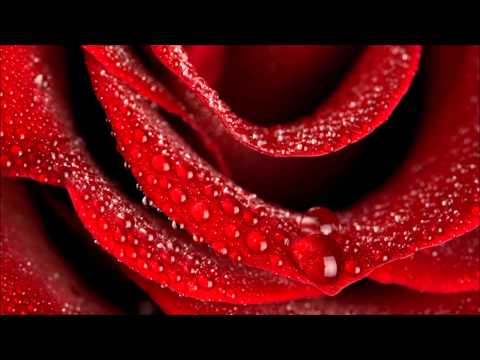 Gianfranco & Kathy Brown vs Fabio Tosti & Michelle Weeks (ATTITUDE Mastermix)