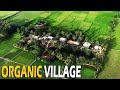 Organic Village in India | Inspiring Story of Indian Village | Village Life