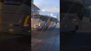 Download lagu New DAMRI slebew #damri #slebew #busmania #storywa #viral #bismania #cikarang #storywa30detik mp3