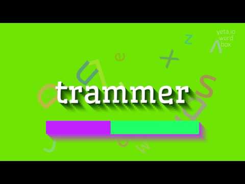 How to say "trammer"! (High Quality Voices)