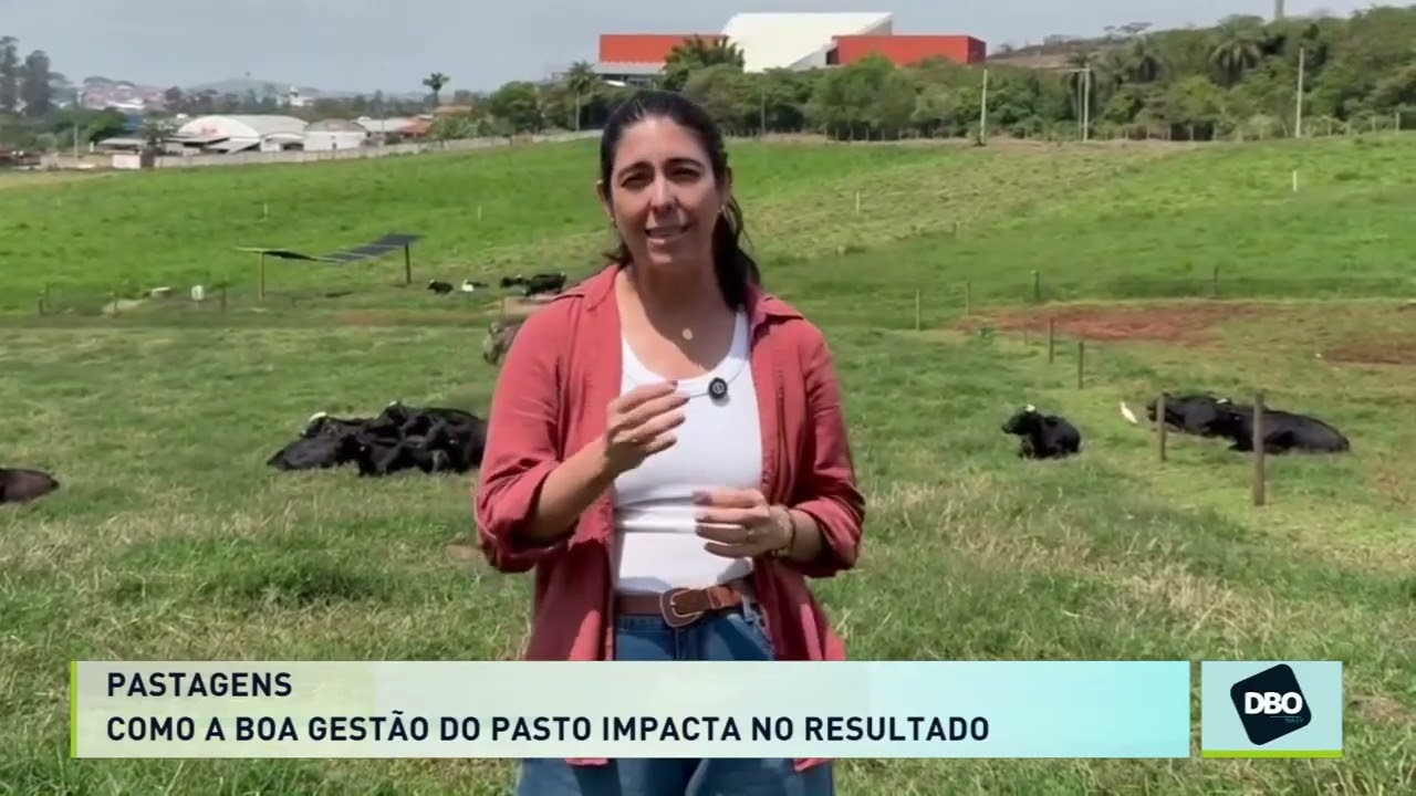 Quanto custa não planejar o pasto? Janaina Martuscello participa do DBO na TV