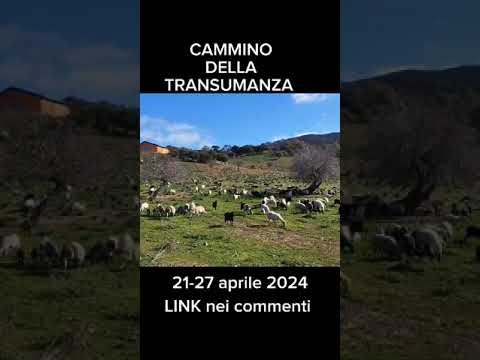 𝐂𝐀𝐌𝐌𝐈𝐍𝐎 𝐃𝐄𝐋𝐋𝐀 𝐓𝐑𝐀𝐍𝐒𝐔𝐌𝐀𝐍𝐙𝐀⁣⁣⁣ in Sardegna (21 – 27 aprile 2024)