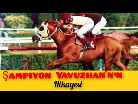 YAVUZHAN...Ondan daha iyisi  gelmedi.