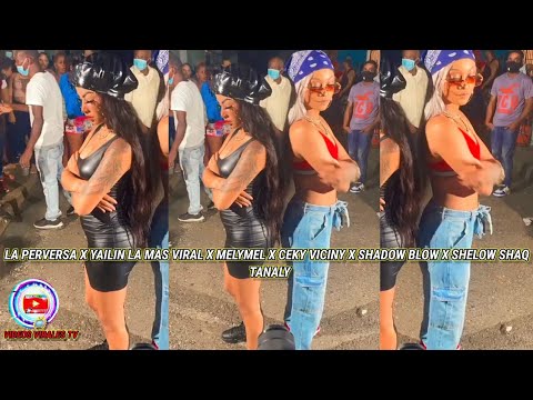 LA PERVERSA ❌ YAILIN LA MAS VIRAL ❌ MELYMEL ❌ CEKY VICINY  SHADOW BLOW ❌ SHELOW SHAQ - TANALY