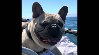 Fishing with Jacko Port Phillip Bay