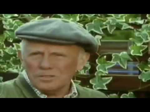 One Foot In The Grave   S04   E04   Warm Champagne