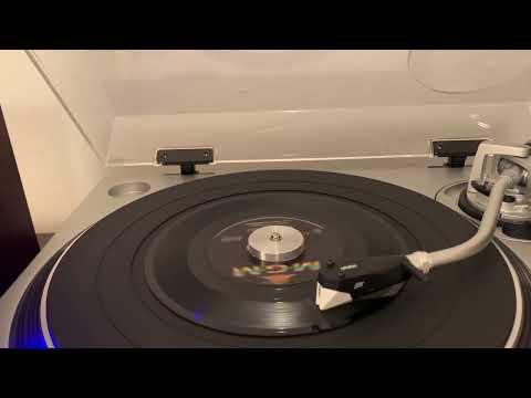 Sam The Sham and The Pharaohs “Wooly Bully” “1965”