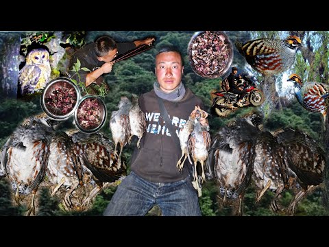 Handmade Gulel Hunting Piura At Night || 5+ Babal Shoot😉@WildLifeSurviVal100