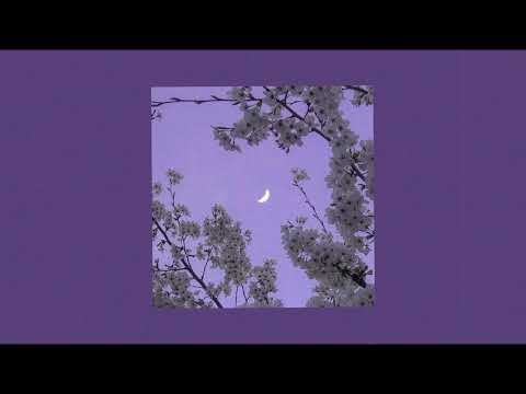 𝚍𝚒𝚜𝚌𝚘 𝚜𝚎𝚡𝚢 (𝚜𝚕𝚘𝚠𝚎𝚍 𝚗 𝚛𝚎𝚟𝚎𝚛𝚋)