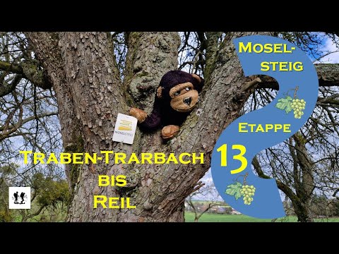 #Moselsteig, Etappe 13: Von Traben-Trarbach nach Reil