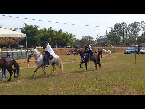 Cavalo de Marcha Batida. Iguatama-MG 2026.