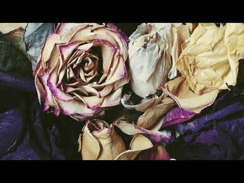 Зимавсегда - Мечтай смелей
