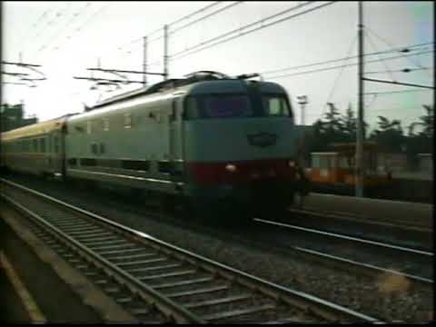 E444 Tartarughe in Romagna - 05