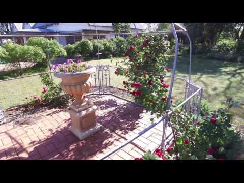 Hazeldean Quandary near Temora