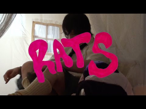 Video thumbnail for Rats