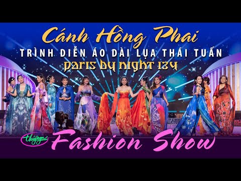 Video thumbnail for Cánh Hồng Phai