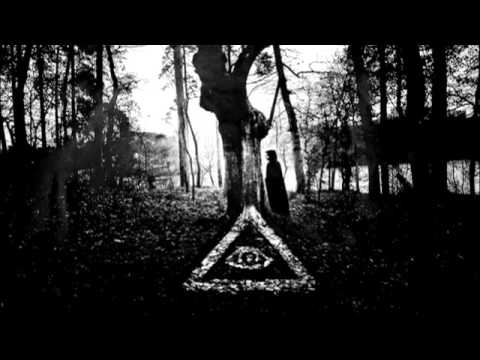 Asenheim - Der letzte Passagier