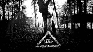 Asenheim - Der letzte Passagier