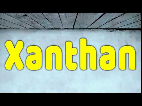 How to Pronounce Xanthan