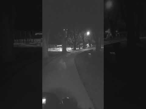 #lagovilladalcar #riocuarto #cordoba #shortvideo #viral #youtubeshorts #noche #frio #lago