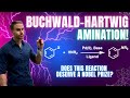 The Ultimate Guide To Buchwald Hartwig Amination Synthesize C N Bonds