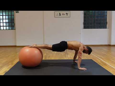 Fitball Rabbit: Dynamic Abs and Core Stability in Plank