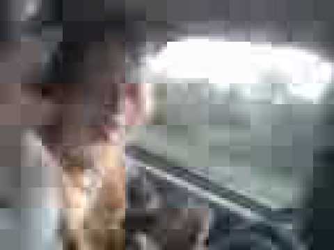 Pussy Pirates: Ridin' Dirty