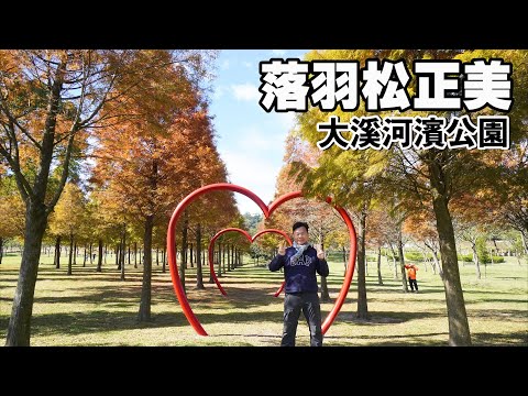 [Masami Falling Pine | Daxi Riverside Park] Bosque de pinos que caen, estanque ecológico panorámico, tierra verde menguante, área de juego para botes de césped marino, ¡cumplimiento primario! ¡Aldea Shunyu Zhan Wugachi, área artificial de Dazukan! | Lugar escénico de Daxi, Lugar escénico de Taoyuan