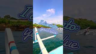 I dive with jellyfish divers village in Bali.