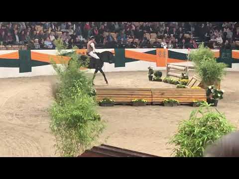 Akito Galaabend Trakehner Hengstmarkt 2019
