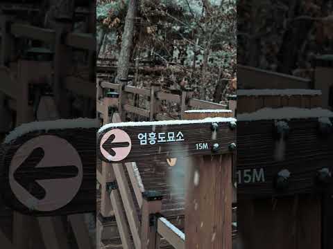 [SNS직원서포터즈] 왕과사는남자 엄흥도묘가 군위에?