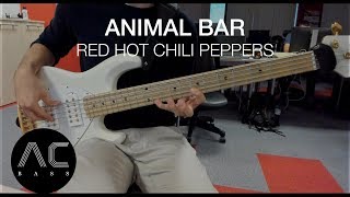 Animal Bar - Red Hot Chili Peppers [HD Bass Cover]