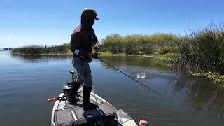 Stubborn Bass Couldn’t Resist This Topwater Choppo
