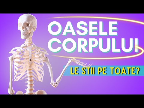 SISTEMUL OSOS pentru MEDICINA - oasele craniului, mainii, piciorului(coloana vertebrala, tibie etc)