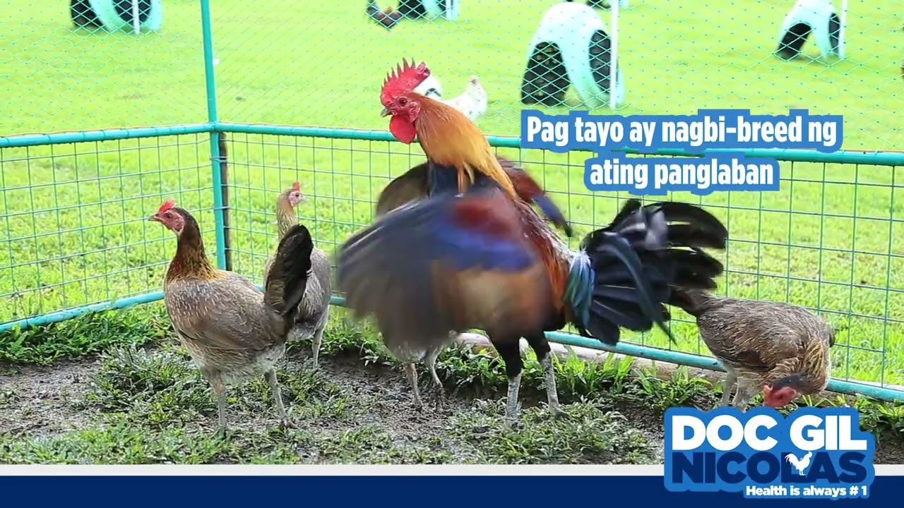 Health is Always #1: Interactive Session - EPISODE 22