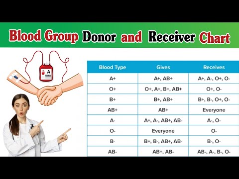 IV Cannula Colour And Size Cannula Types And Uses