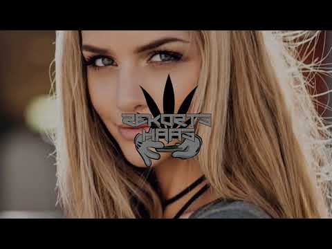 DCTR STEEVE ZE ASS | DDKS L A N Y _