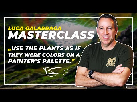 Award-winning Aquascaper Luca Galarraga Shares His Secrets In This Exclusive Masterclass!