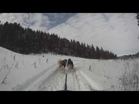 Băile Tușnad and surroundings ecotourism destination - winter